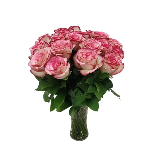 Twenty Cinderella roses in a vase