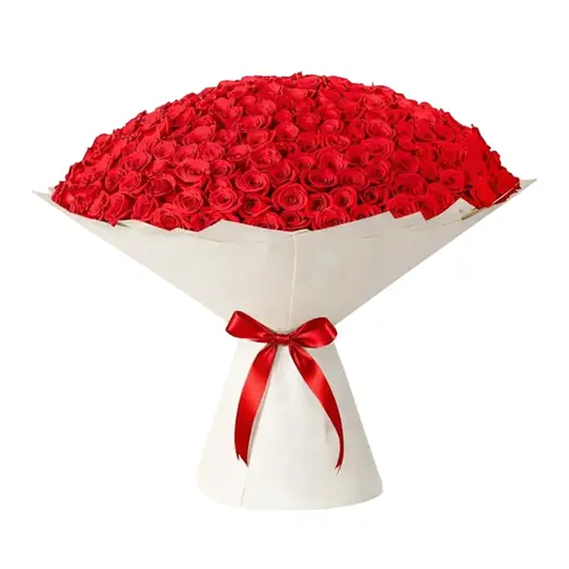Large red rose bouquet with Ecuador roses